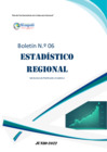 Vista preliminar de documento Boletin Estadistico Regional N° 06 - 2022