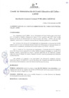 Vista preliminar de documento Resolución de Gerencia General