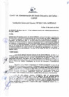 Vista preliminar de documento Resolución de Gerencia General