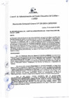 Vista preliminar de documento Resolución de Gerencia General