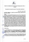 Vista preliminar de documento Resolución de Gerencia General