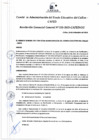 Vista preliminar de documento Resolución de Gerencia General