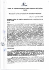 Vista preliminar de documento Resolución de Gerencia General