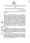 Vista preliminar de documento Resolución de Gerencia General