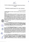 Vista preliminar de documento Resolución de Gerencia General