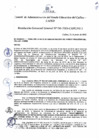 Vista preliminar de documento Resolución de Gerencia General