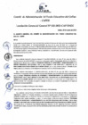 Vista preliminar de documento Resolución de Gerencia General
