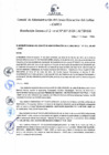Vista preliminar de documento Resolución de Gerencia General