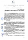 Vista preliminar de documento Resolución de Gerencia General