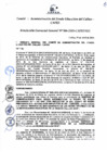 Vista preliminar de documento Resolución de Gerencia General