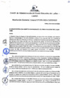 Vista preliminar de documento Resolución de Gerencia General