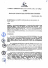 Vista preliminar de documento Resolución de Gerencia General