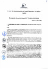 Vista preliminar de documento Resolución de Gerencia General