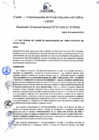 Vista preliminar de documento Resolución de Gerencia General