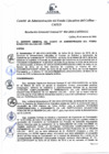 Vista preliminar de documento Resolución de Gerencia General