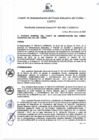 Vista preliminar de documento Resolución de Gerencia General