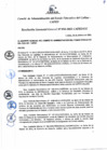 Vista preliminar de documento Resolución de Gerencia General