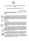 Vista preliminar de documento Resolución de Gerencia General