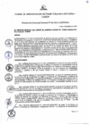 Vista preliminar de documento Resolución de Gerencia General