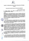 Vista preliminar de documento Resolución de Gerencia General