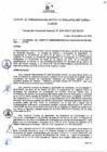 Vista preliminar de documento Resolución de Gerencia General