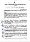Vista preliminar de documento Resolución de Gerencia General