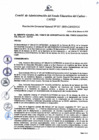 Vista preliminar de documento Resolución de Gerencia General