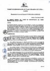 Vista preliminar de documento Resolución de Gerencia General