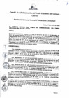 Vista preliminar de documento Resolución de Gerencia General