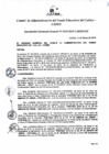 Vista preliminar de documento Resolución de Gerencia General