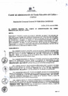 Vista preliminar de documento Resolución de Gerencia General