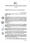 Vista preliminar de documento Resolución de Gerencia General