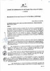 Vista preliminar de documento Resolución de Gerencia General