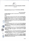 Vista preliminar de documento Resolución de Gerencia General