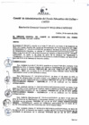 Vista preliminar de documento Resolución de Gerencia General