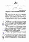 Vista preliminar de documento Resolución de Gerencia General