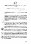 Vista preliminar de documento Resolución de Gerencia General