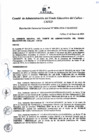 Vista preliminar de documento Resolución de Gerencia General