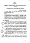 Vista preliminar de documento Resolución de Gerencia General