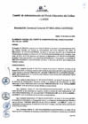 Vista preliminar de documento Resolución de Gerencia General