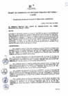 Vista preliminar de documento Resolución de Gerencia General