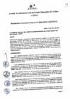 Vista preliminar de documento Resolución de Gerencia General
