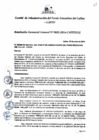 Vista preliminar de documento Resolución de Gerencia General
