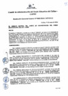 Vista preliminar de documento Resolución de Gerencia General