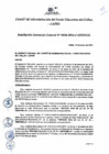 Vista preliminar de documento Resolución de Gerencia General