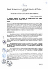 Vista preliminar de documento Resolución de Gerencia General