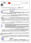 Vista preliminar de documento Resolución Directoral N° 004769-2022.