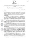 Vista preliminar de documento Resolución de Gerencia General