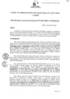 Vista preliminar de documento Resolución de Gerencia General