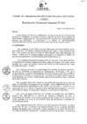 Vista preliminar de documento Resolución de Gerencia General